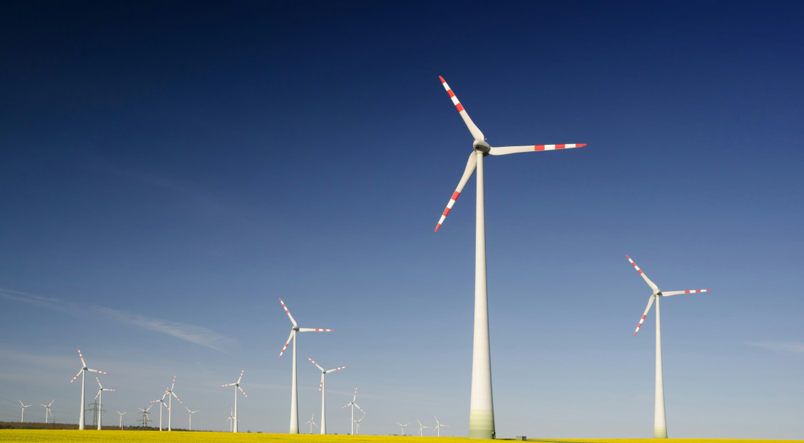 The picture describes a wind farm with multiple wind turbines installed across a grassy landscape.