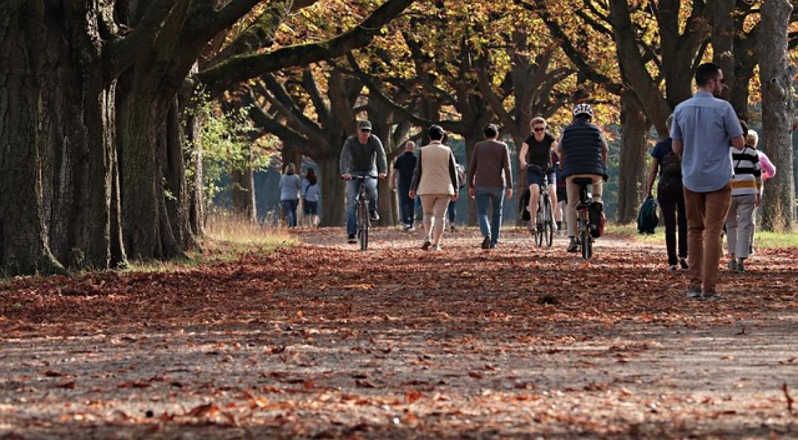 Youth in Parks Day 2024 Enhancing transport for sustainable access