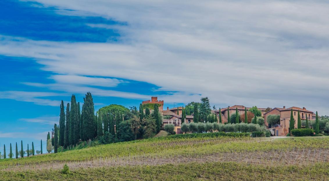 Photo by Unsplash An illustrative photo of a house on a hill with trees and grass