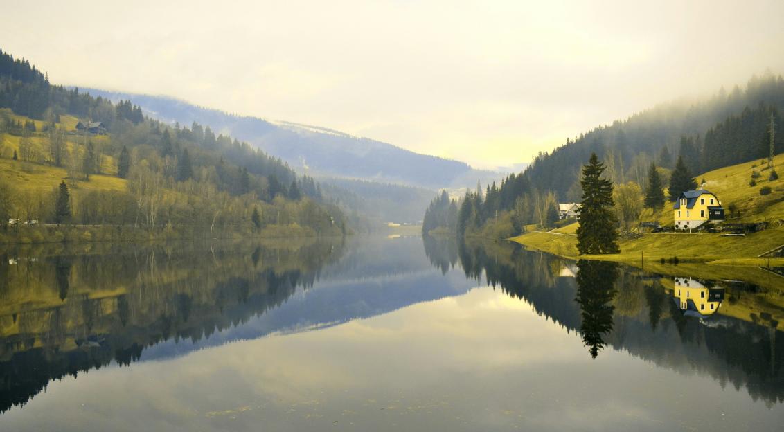 An illustrative photo of green trees beside lake.