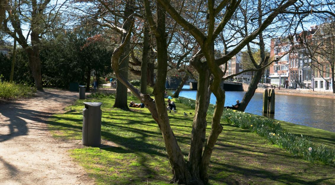 Photo by Unsplash An illustrative photo of trees on grass near a body of water