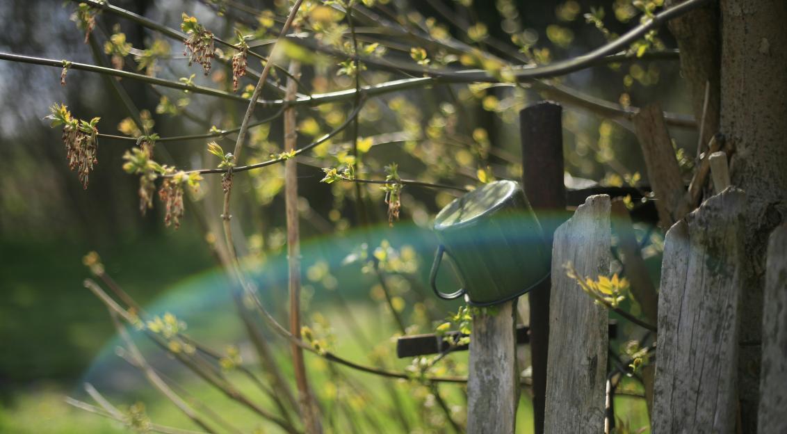 Photo by Unsplash An illustrative photo of a green watering can sitting on a wooden fence