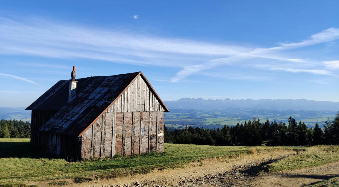 An illustrative photo of a brown wooden house near green trees under blue sky during daytime