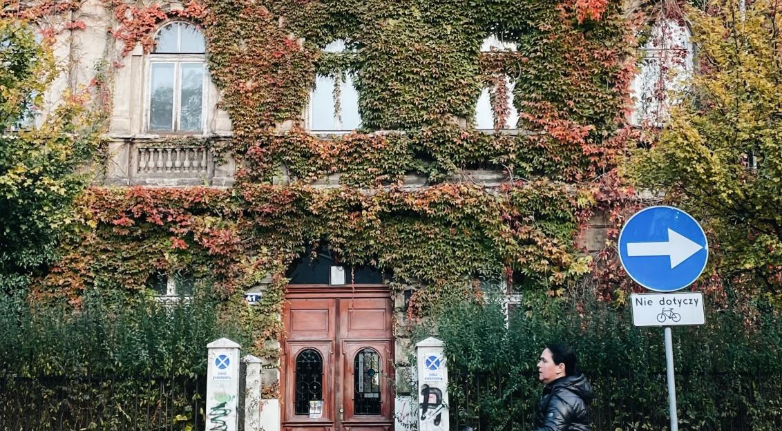 Photo by Unsplash An illustrative photo of a man riding a bike down a street next to a tall building