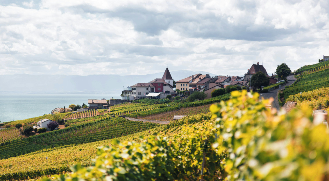 An illustrative photo of a red and white building under white clouds during daytime