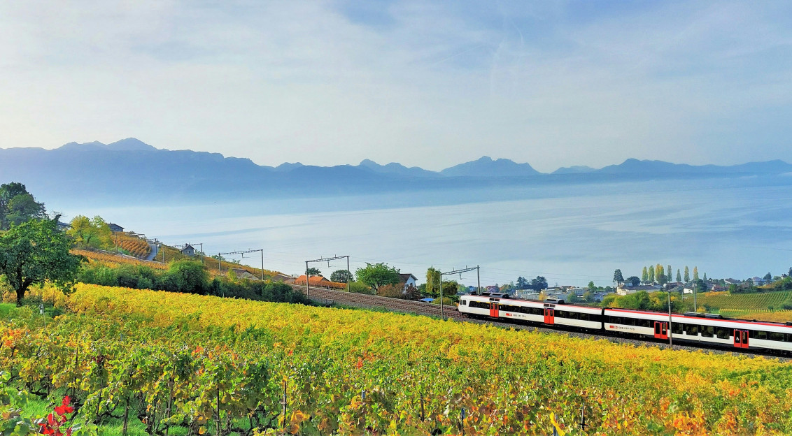 An illustrative photo of a train.