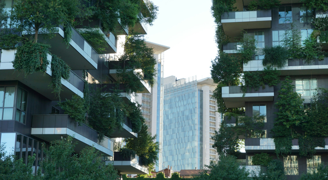 An illustrative photo of buildings with green trees on them.