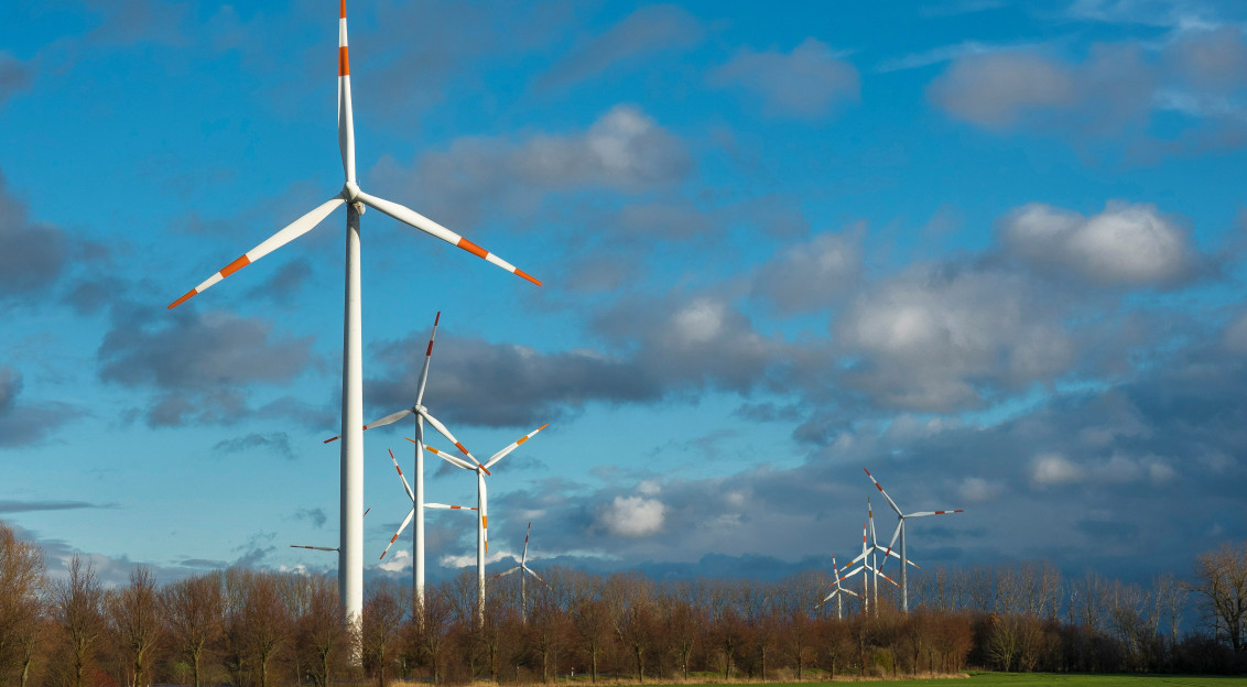 An illustrative photo of white wind turbines on green grass field under blue sky