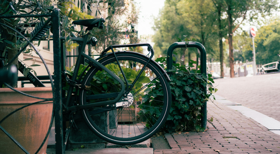 An illustrative photo of a bicycle parked next to a potted plant on a sidewalk.
