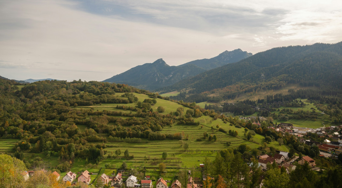 An illustrative photo of a field with green grass and trees on a mountain.