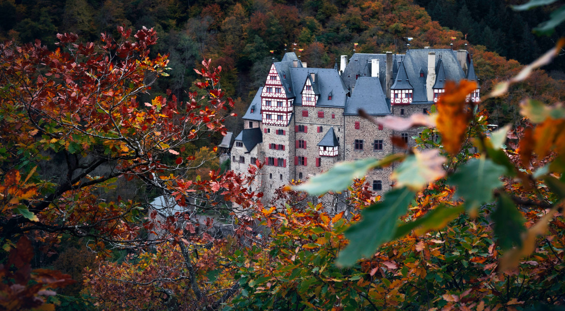 Image by Unsplash An illustrative photo of a concrete house surrounded by trees with red leaves.
