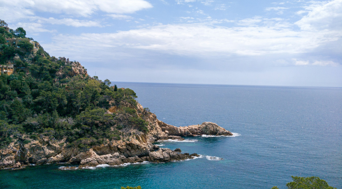 Image by Unsplash An illustrative photo of a large body of water sitting next to a lush green hillside.
