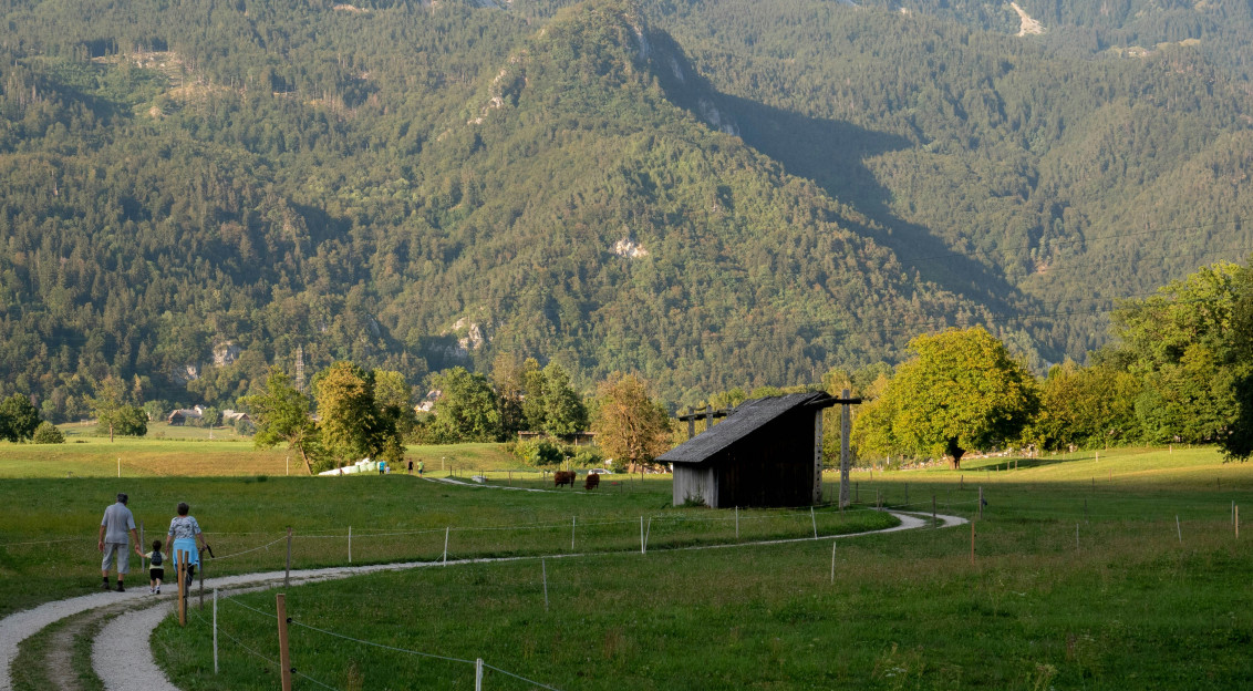 An illustrative photo of people walking on a path in a grassy field.