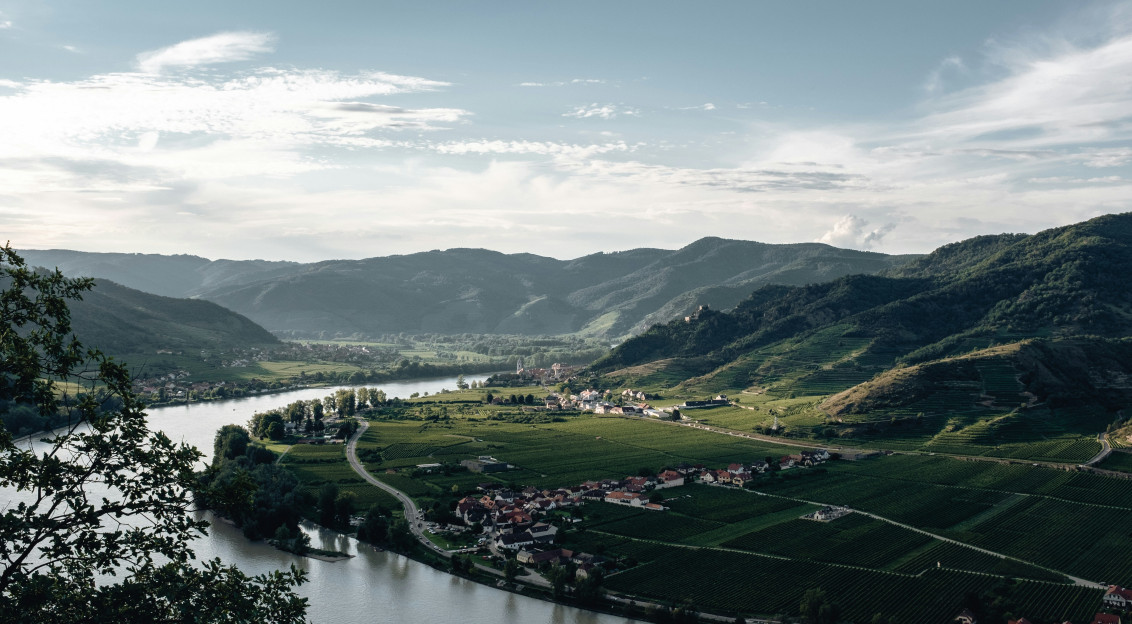 Photo by Unsplash An illustrative photo of a green grass field.