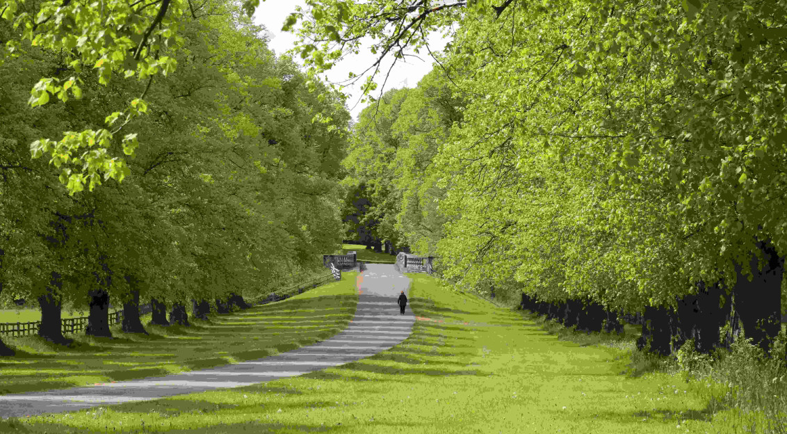An illustrative photo of a person walking in a park with green grass and trees.