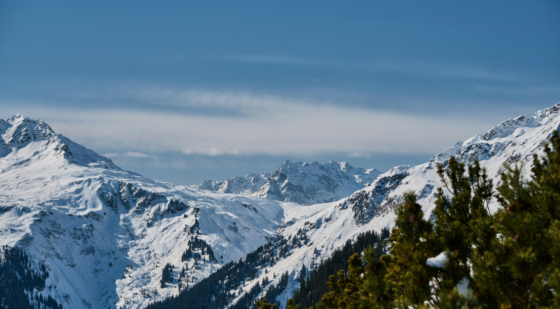 Photo by Unsplash An illustrative photo of a snowy mountain range with pine trees in the foreground.
