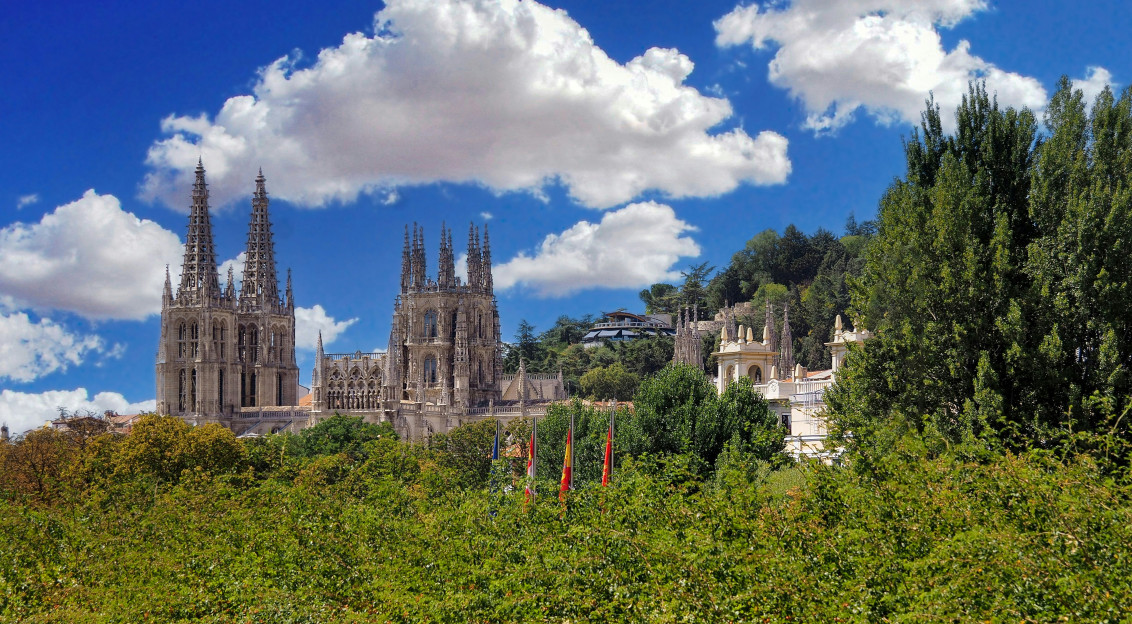An illustrative photo of green trees near a big cathedral.