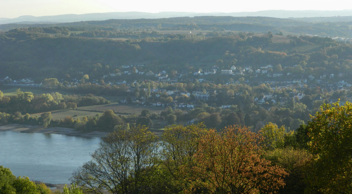 An illustrative photo of a view of a lake and a city from a hill.