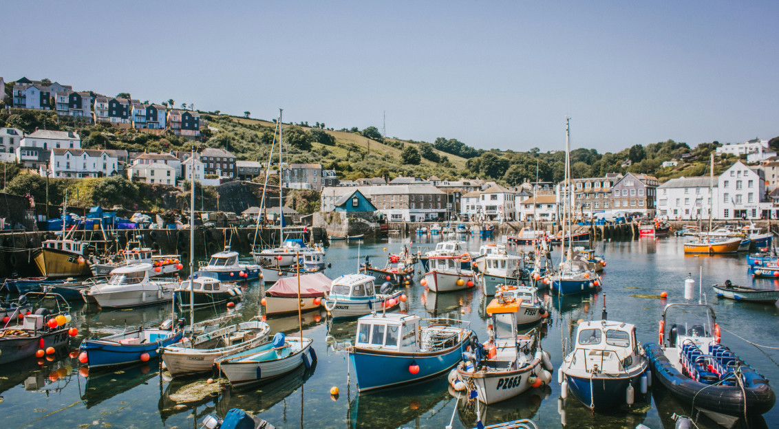 An illustrative photo of a harbor filled with lots of small boats.