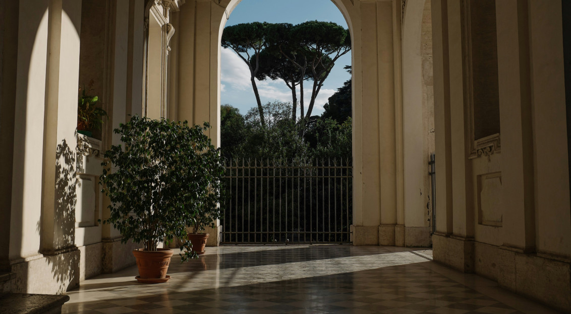 An illustrative photo of green leafed plants inside hallway.