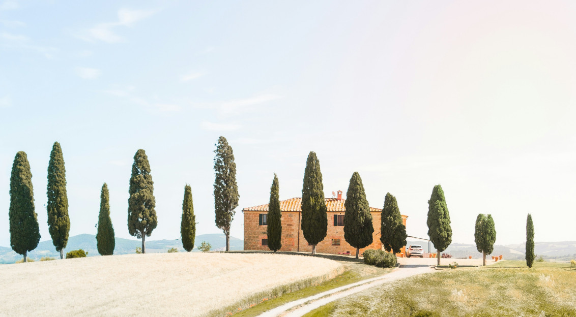 Photo by Unsplash