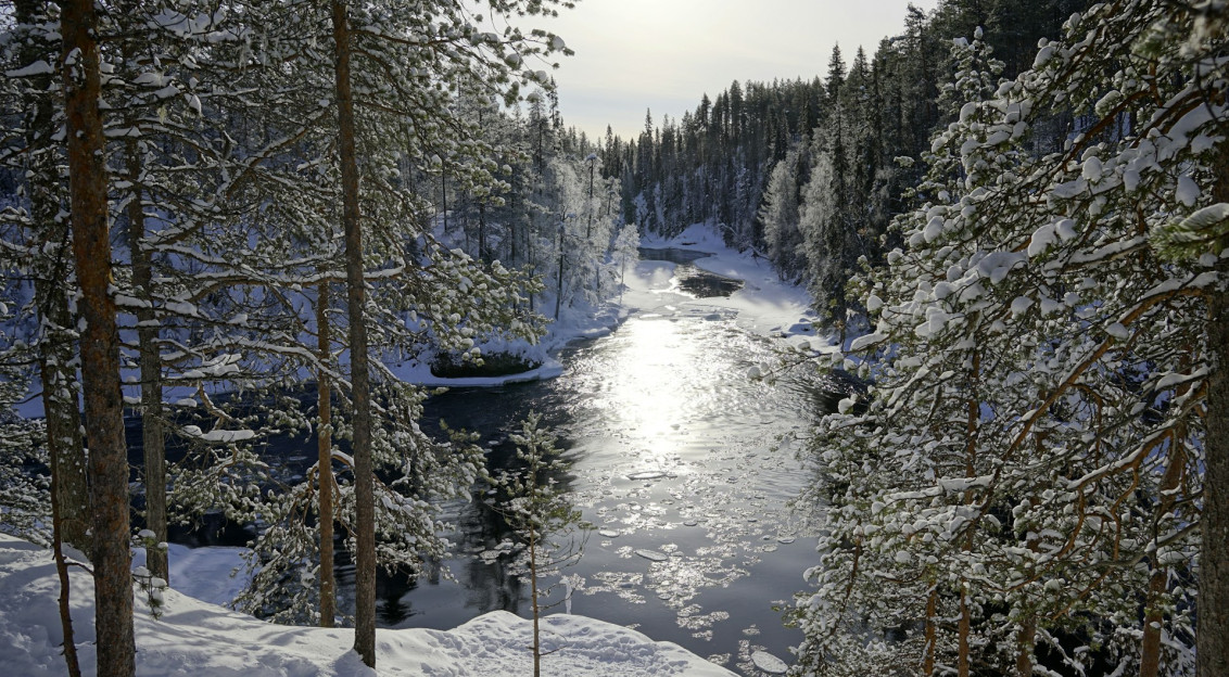 a-river-running-through-a-snow-covered-forest