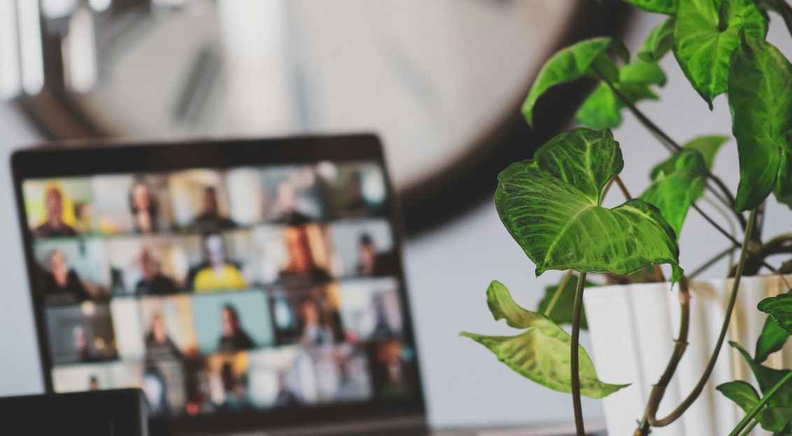 A green houseplant in the foreforeground, with a blurred laptop in the background displaying a grid of people on a video-conference call.