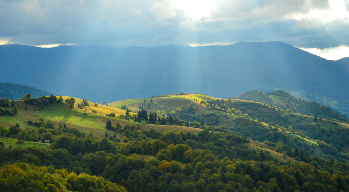 A view of greenery covered mountains