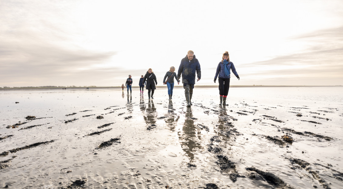 group of people walking by the sea